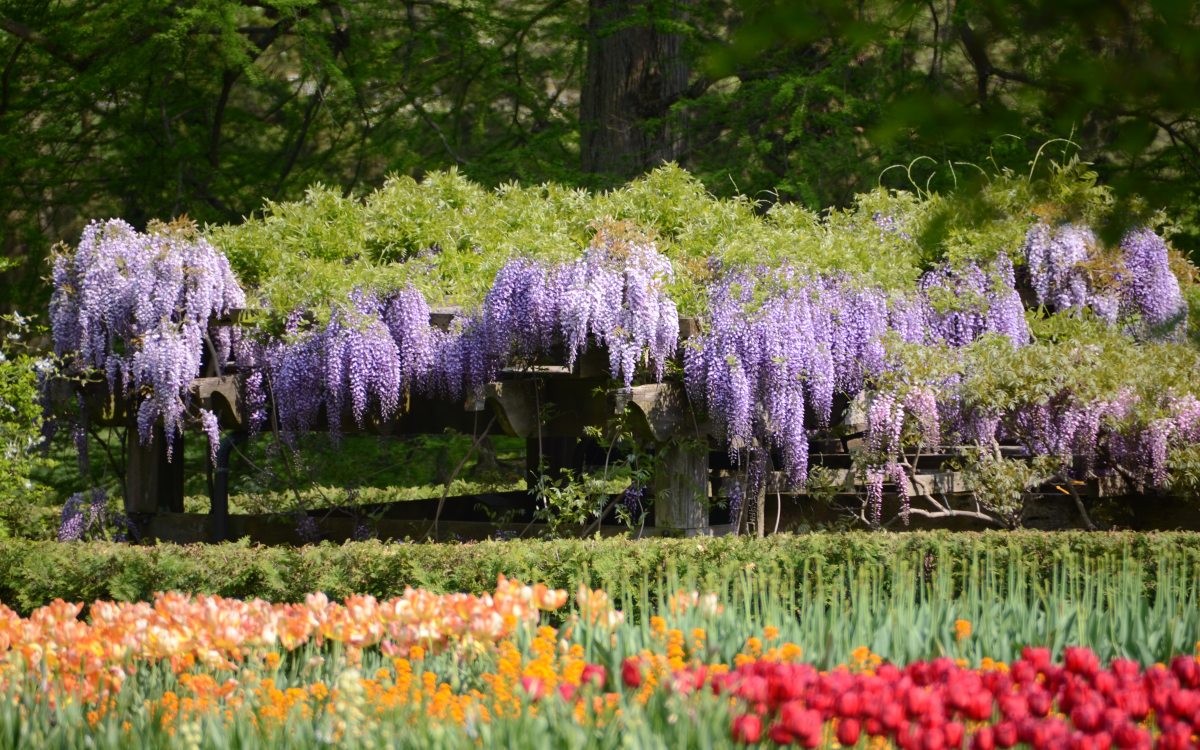 Field Trip Visit Information | Longwood Gardens
